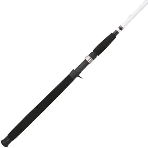 Berkley Big Game Casting Rod, real Amazon listing photo