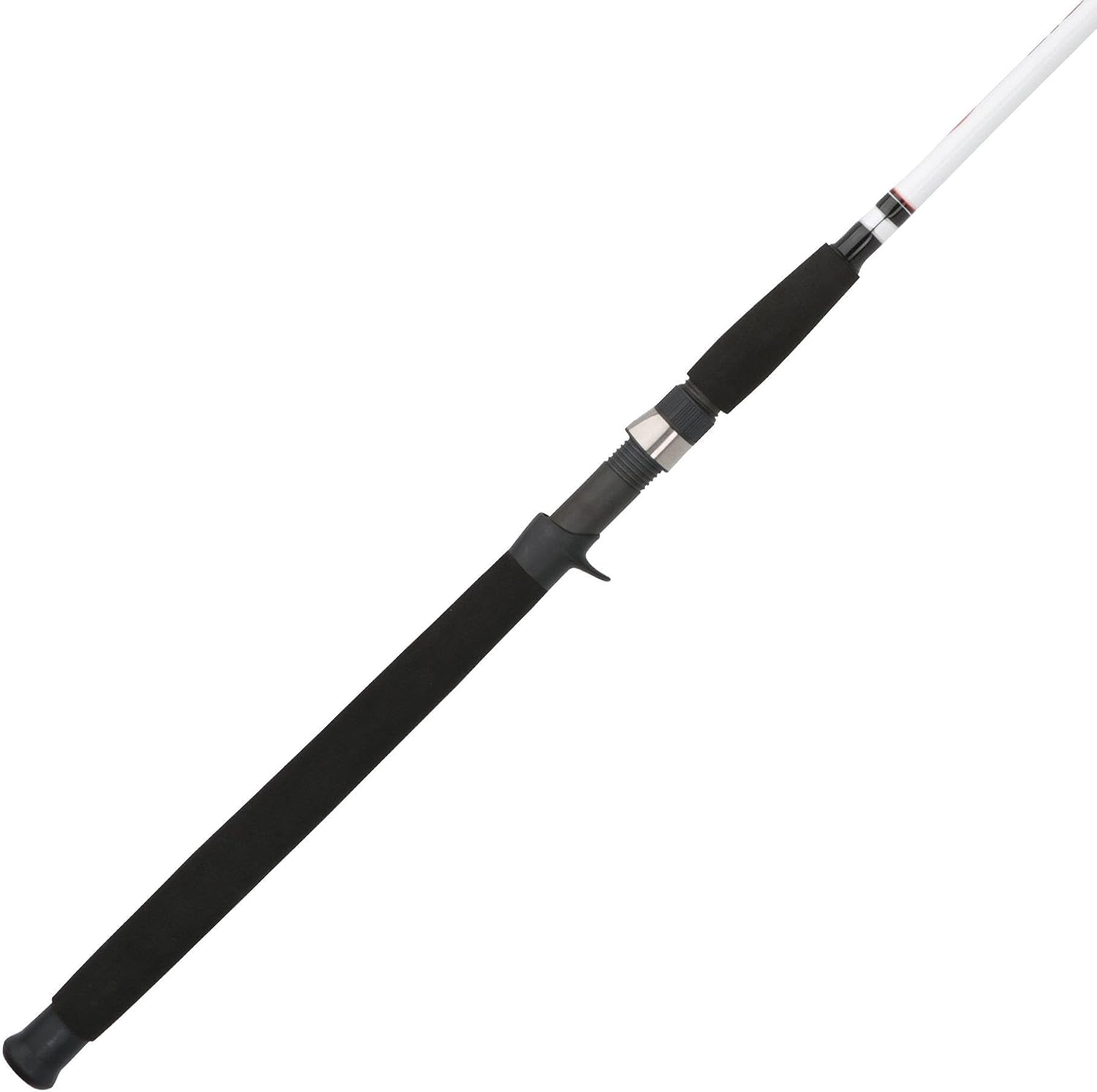 Berkley Big Game Casting Rod, real Amazon listing photo