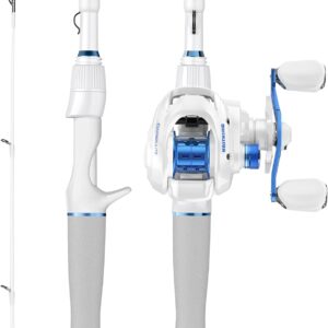 Berkley Big Game Casting Rod - real Amazon listing photo