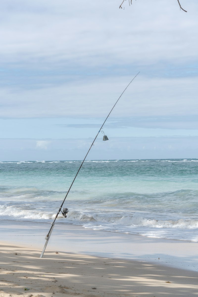 Surf Fishing Rods