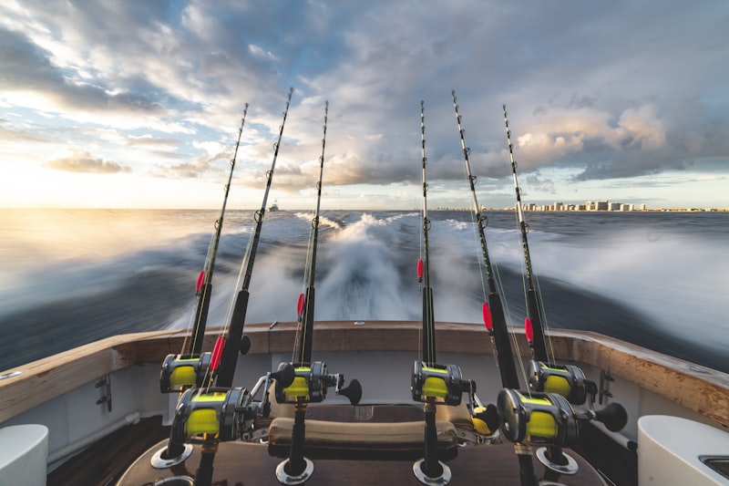 Baitcasting Rods