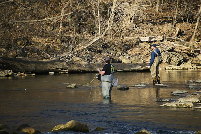 Fly Rods