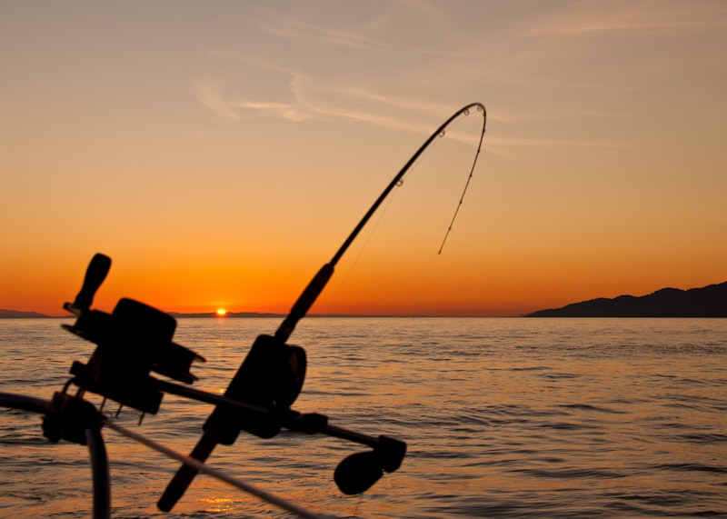 Spinning Rods